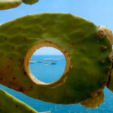 Casa Rosa Sea & Hotel 3*