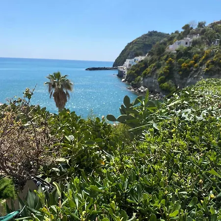 Hotel Hotel Casa Rosa Sea & Spa Sant'Angelo (Isola d'Ischia)