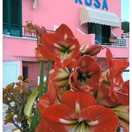 Casa Rosa Sea & 3* Sant'Angelo (Isola d'Ischia)