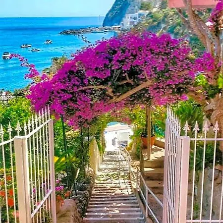 Hotel Casa Rosa Sea & Sant'Angelo (Isola d'Ischia)