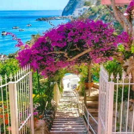 Hotel Casa Rosa Sea & Spa