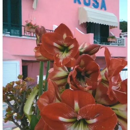 Hotel Casa Rosa Sea & Spa
