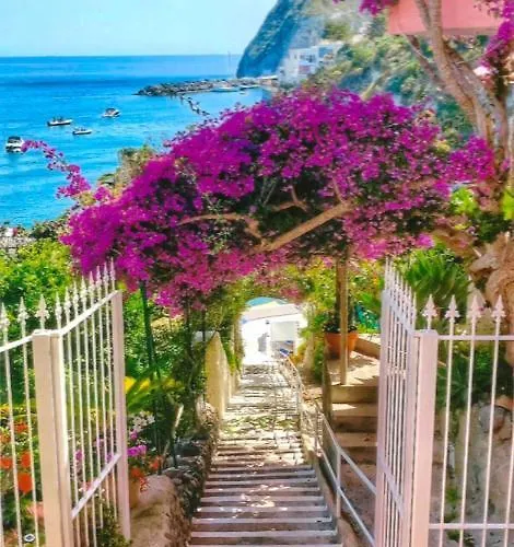 Hotel Casa Rosa Sea & Spa