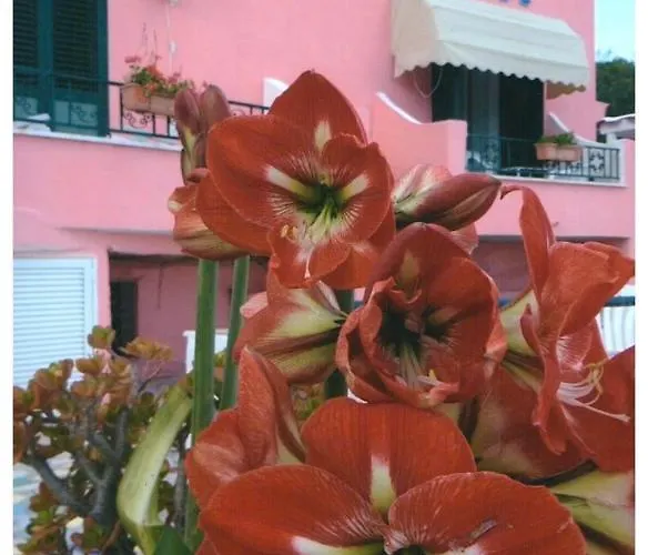 Hotel Casa Rosa Sea & Spa