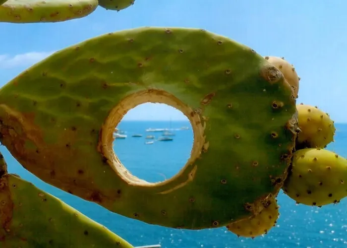 Hotel Casa Rosa Sea & Spa Hotel 3*